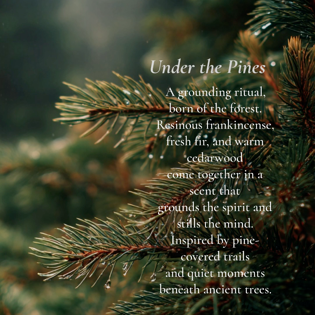 Close-up of pine branches with a descriptive text overlay about a grounding ritual inspired by nature.