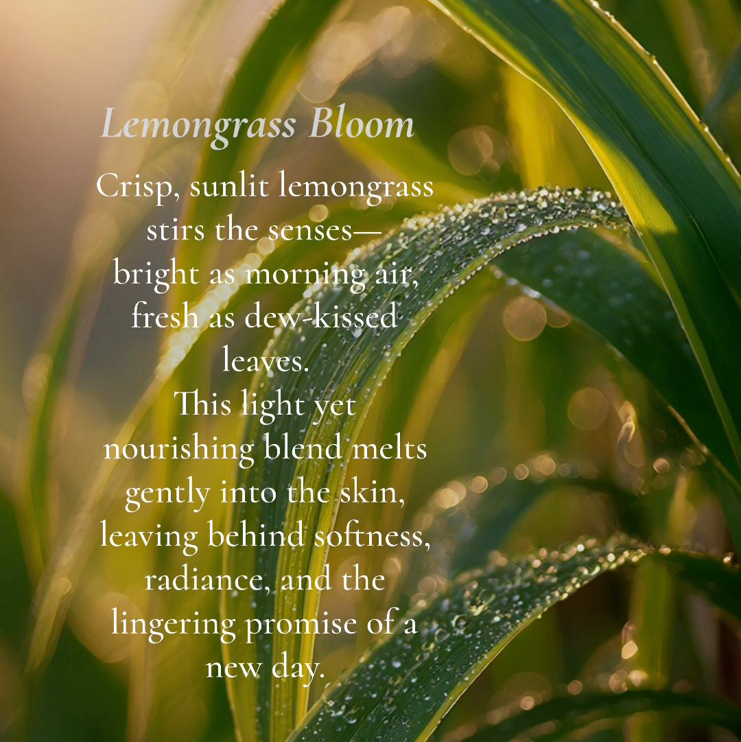 Lemongrass Bloom | Whipped Tallow Body Moisturizer