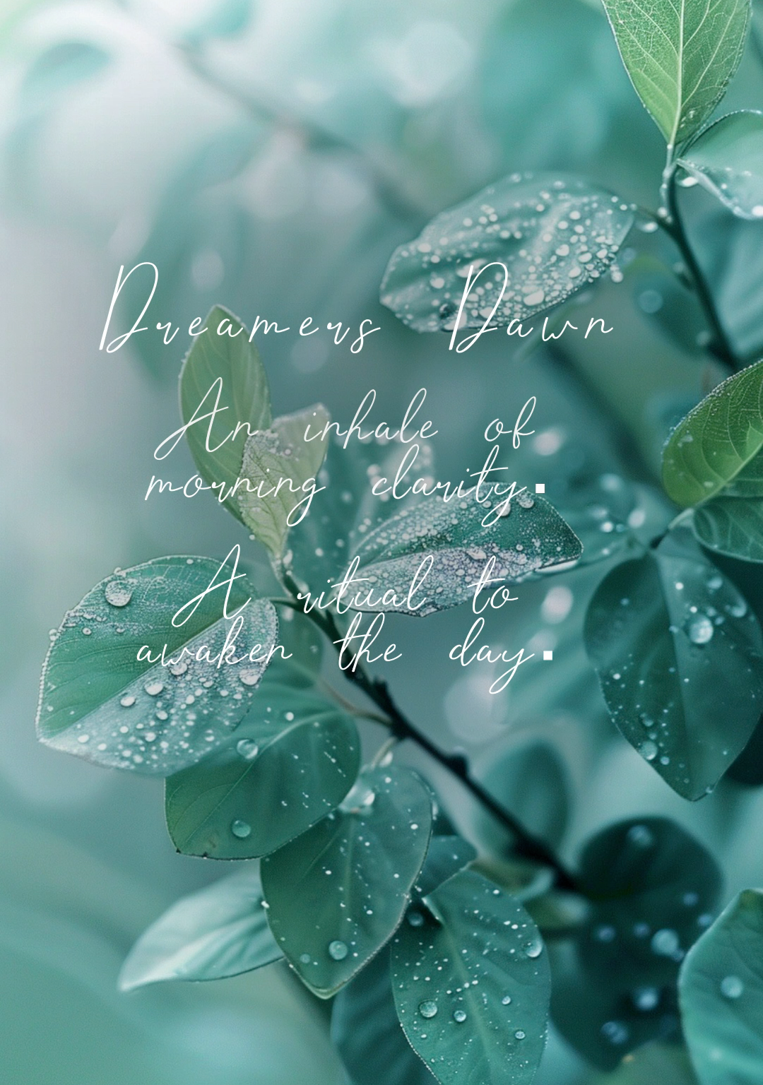 Dreamers Dawn | Awakening Morning Mist
