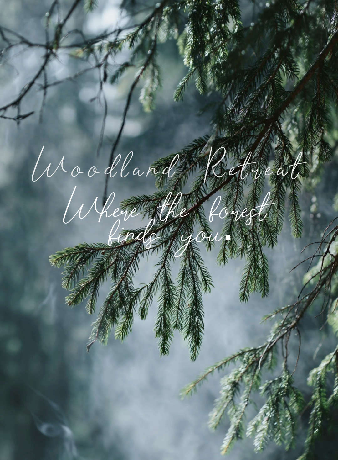 Woodland Retreat | Grounding Forest Mist