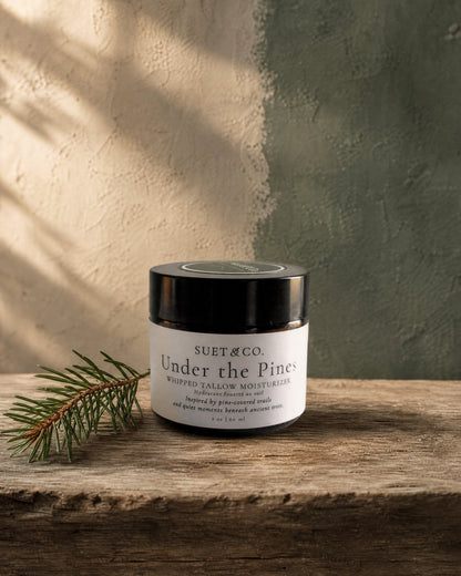 A jar of Suet & Co. 'Under the Pines' whipped tallow moisturizer sits on a rustic wooden surface next to a pine branch, set against a textured wall with soft leaf shadows.